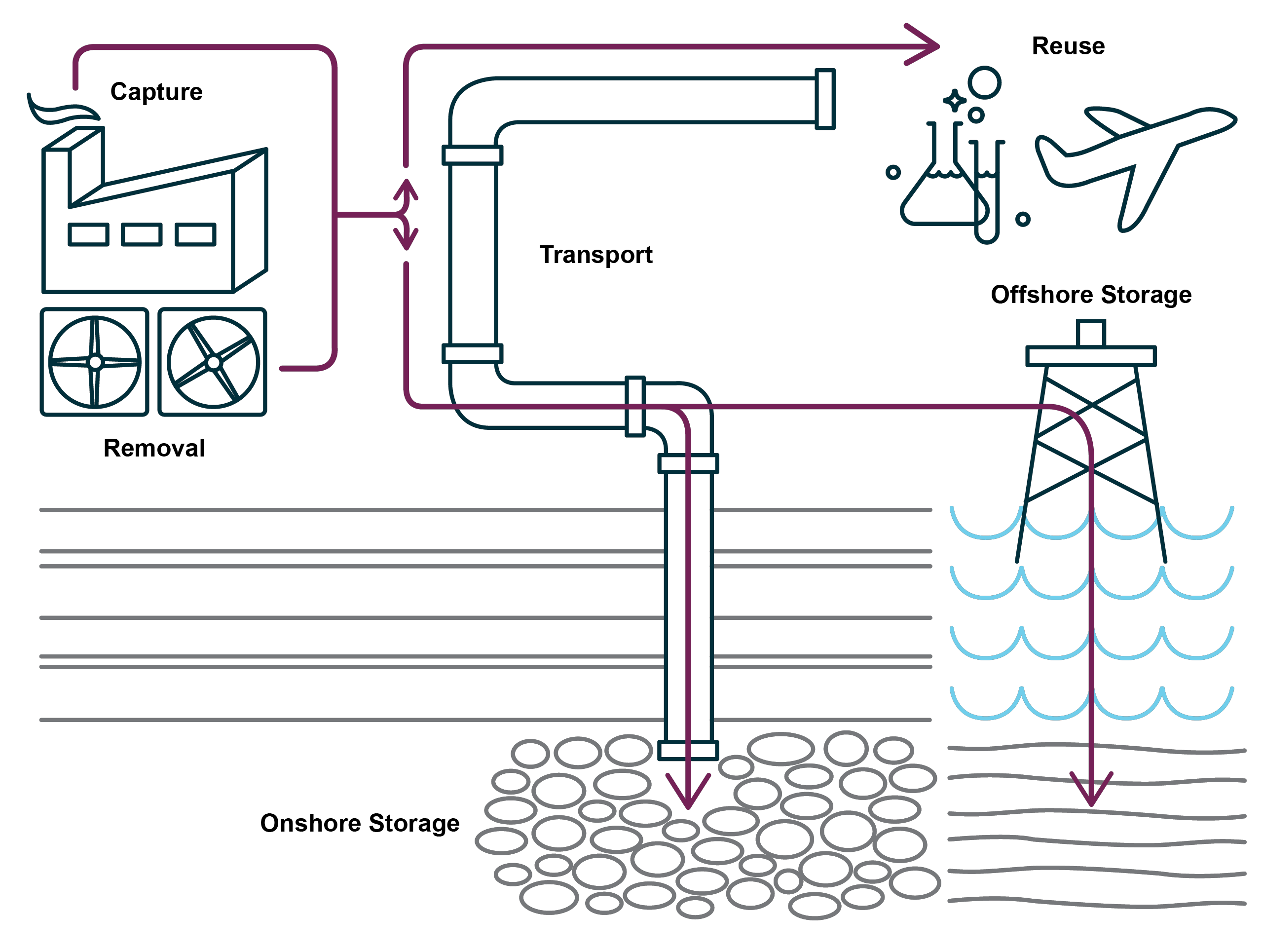 Carbon Capture Coalition